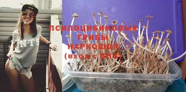 дурь Костерёво
