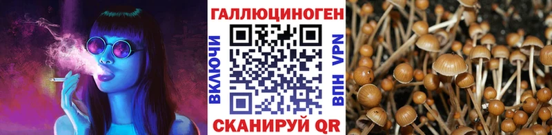 Купить закладки  Болхов  Галлюциногенные грибы GOLDEN TEACHER 